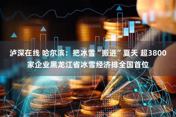 泸深在线 哈尔滨：把冰雪“搬进”夏天 超3800家企业黑龙江省冰雪经济排全国首位