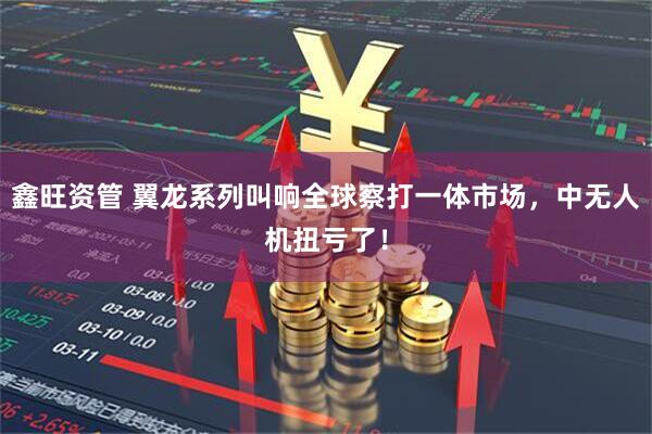鑫旺资管 翼龙系列叫响全球察打一体市场，中无人机扭亏了！