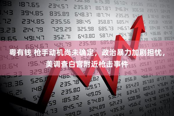 粤有钱 枪手动机尚未确定，政治暴力加剧担忧，美调查白宫附近枪击事件
